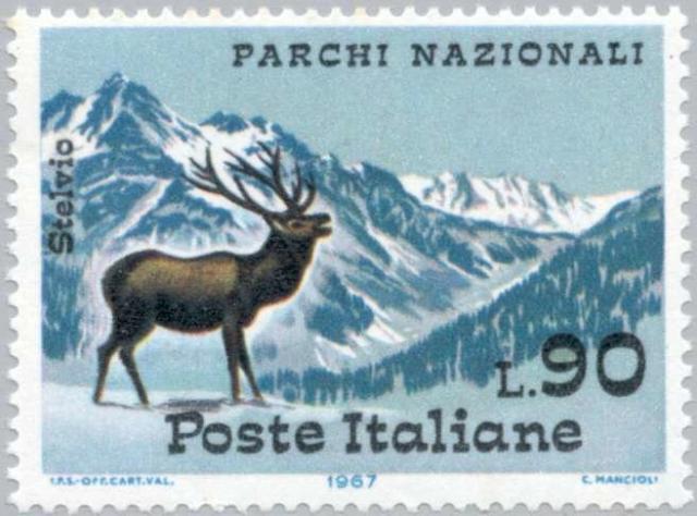 red-deer-stag-(cervus-elaphus),-stelvio-park