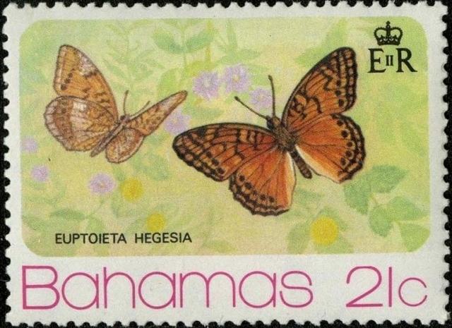 Butterflies 1975. Бабочки (1975)